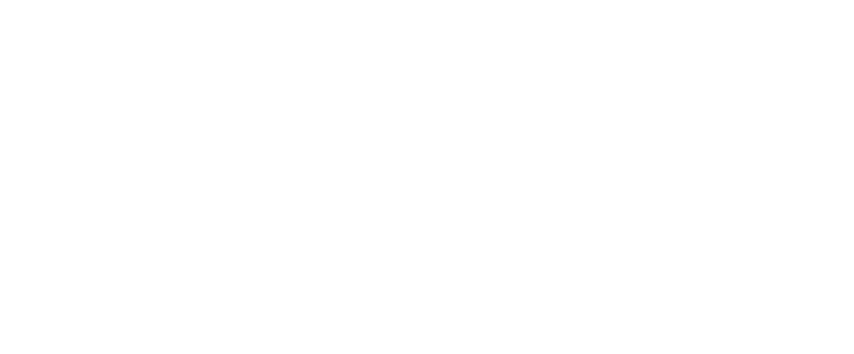 Voyyage Logo